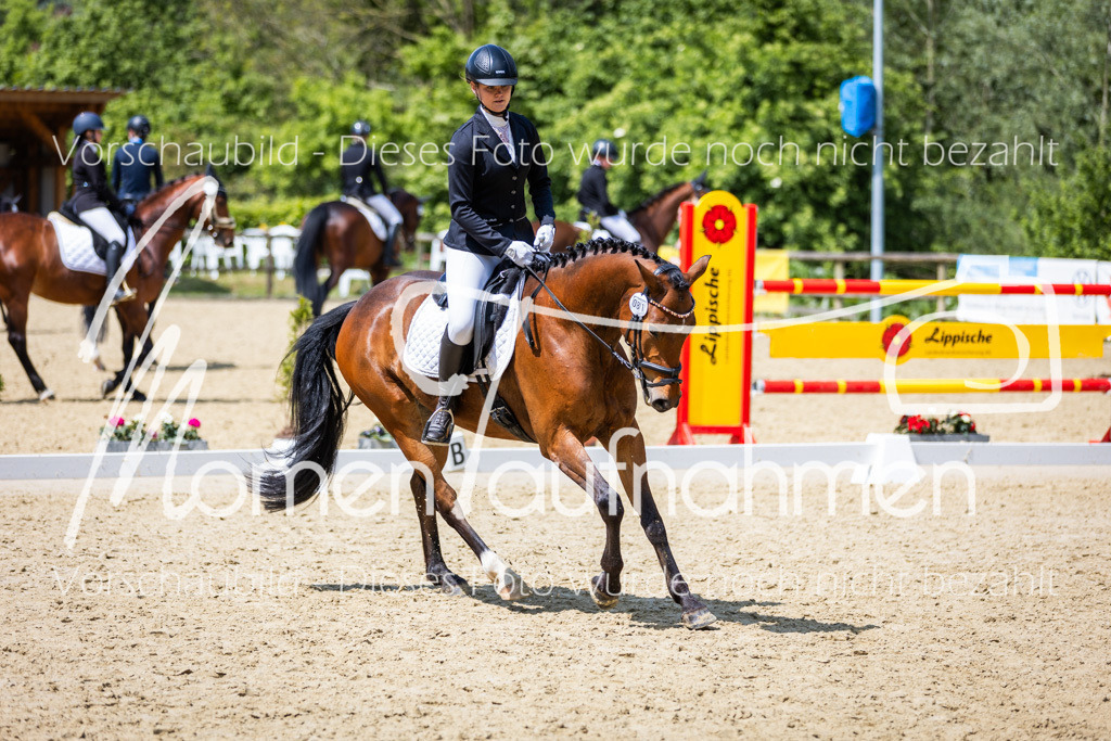 Donop24-EDre-003 | MomenTaufnahmen Pferdesportfotos