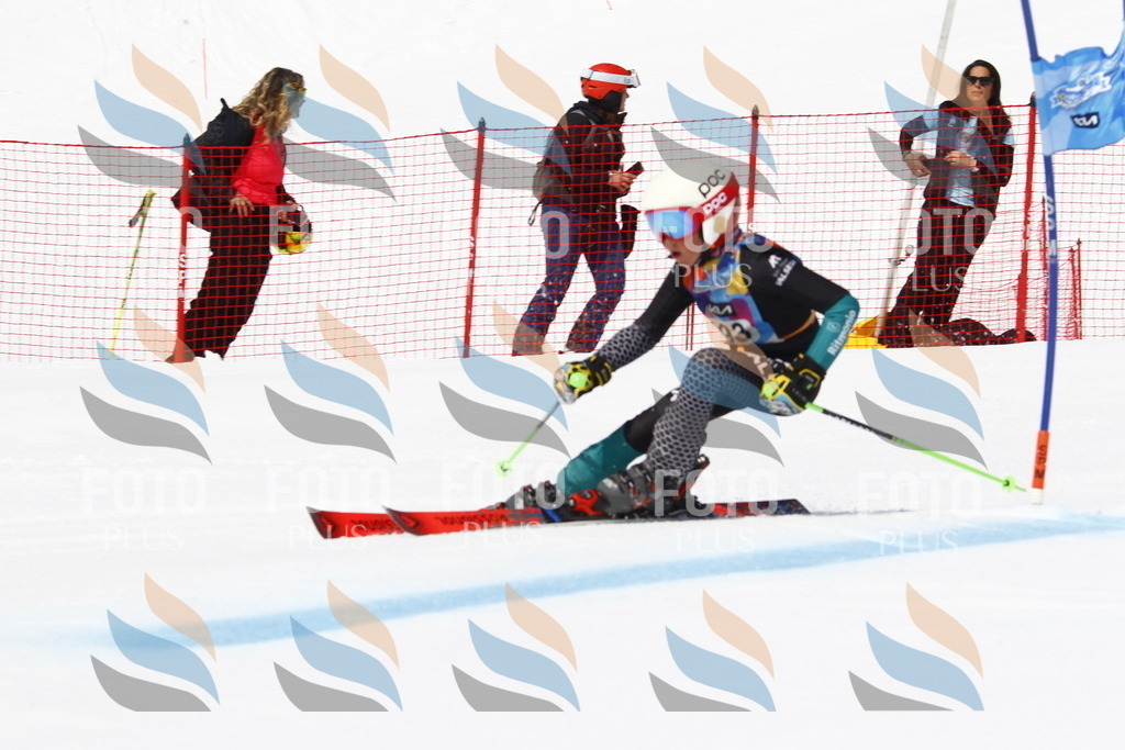 _U3G5073 | holidayphoto