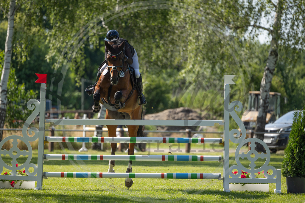 994A3195 | sabrinanicolaifotografie - Realisiert mit Pictrs.com