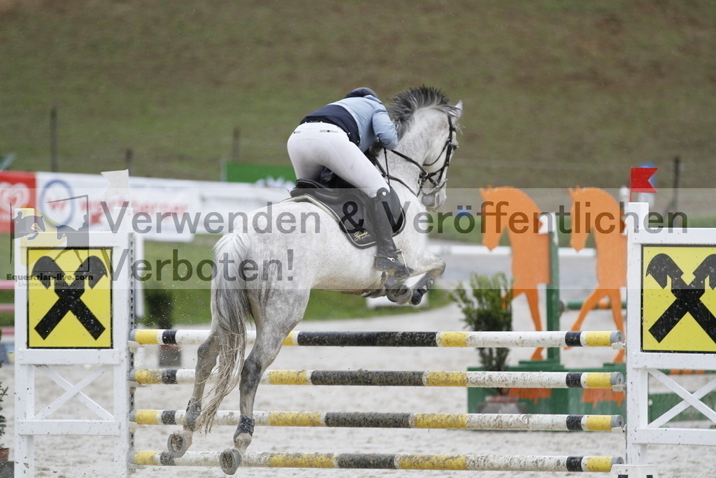 _MG_1531 | equestrian-live-com