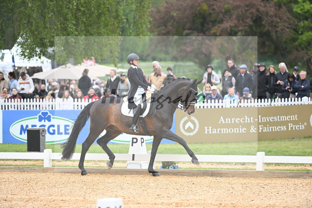 Abbelen_Sam Donnerhall_11232397 | hf-fotografie - Realisiert mit Pictrs.com