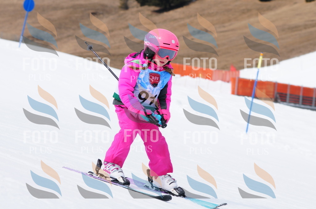 A3790 | holidayphoto