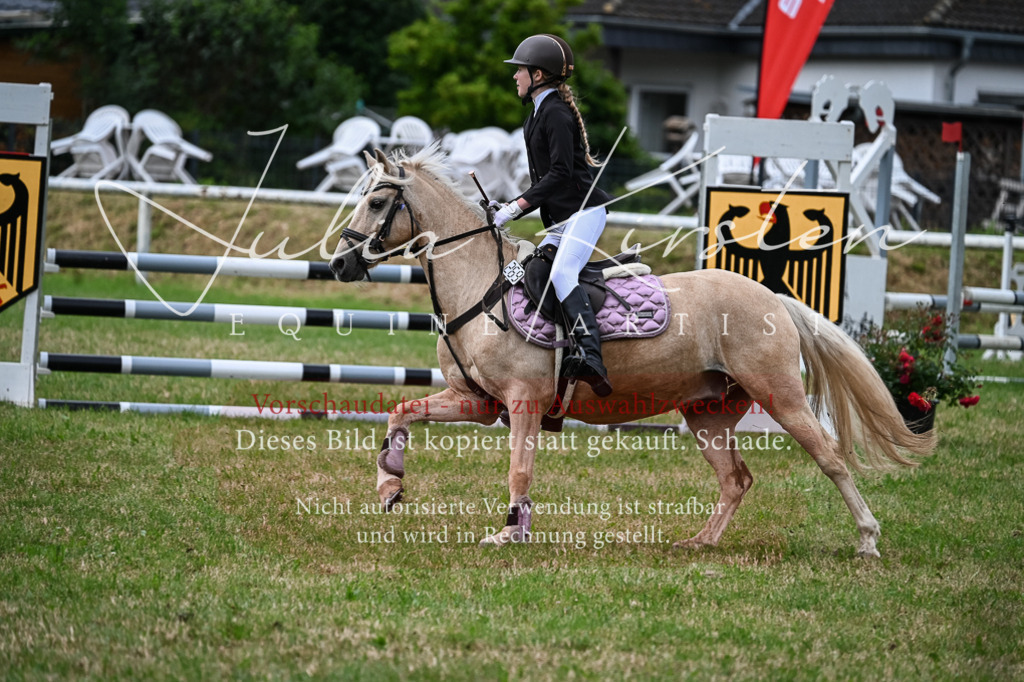 DSC_8598 | Pferde- und Turnierfotografie in Westsachsen. Pferdeportraits, Auftragszeichnungen und intuitive Kunst.