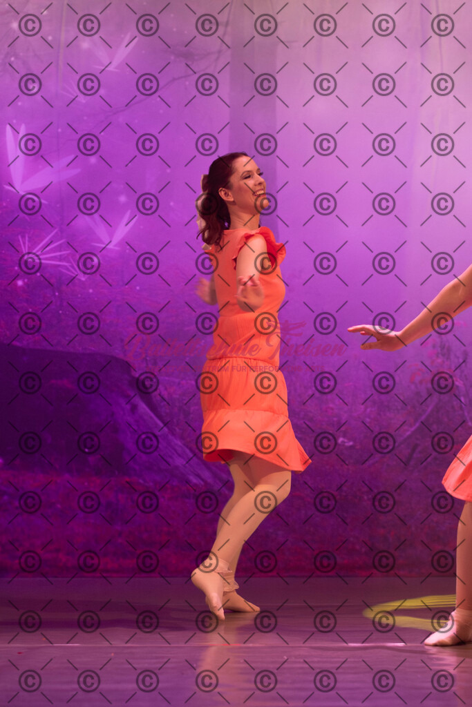 Ballettaufführung-1188 | Bildershop Lem'n Entertainment - Realisiert mit Pictrs.com