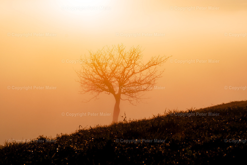 Magdalensberg-369 | piet_flosse