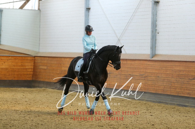 IMG_3257 | Turniersportfotografie; Pferdefotografie; Dressurfotografie