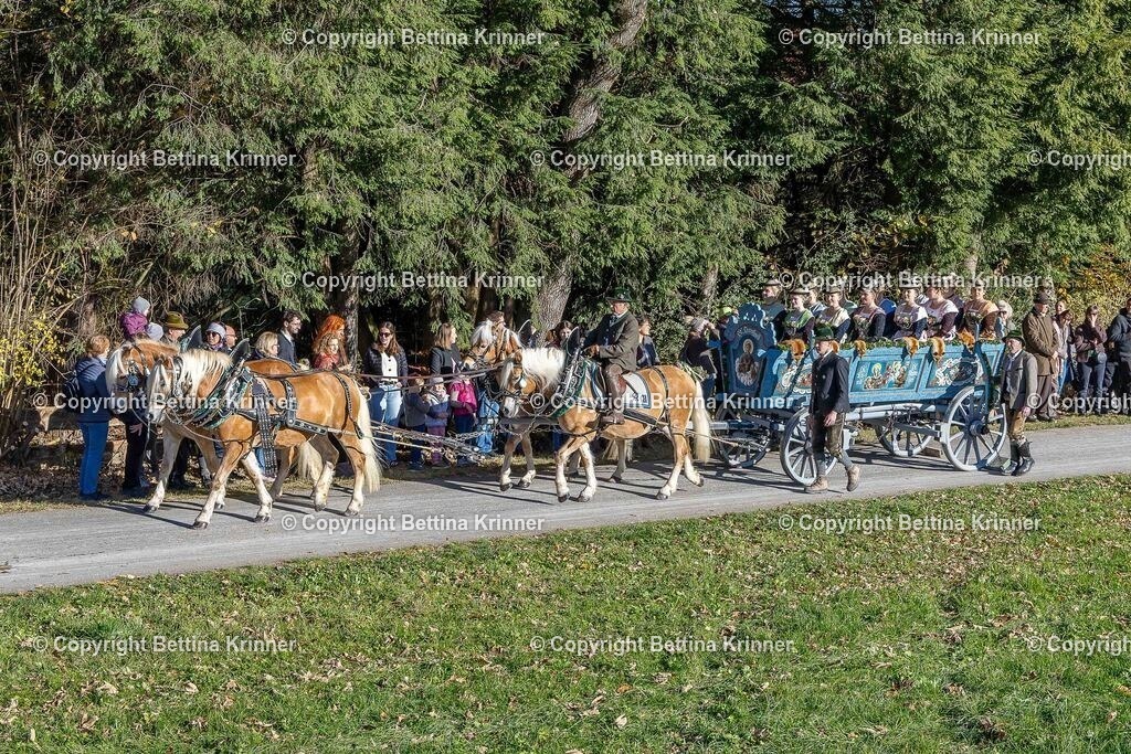 LBT25-379 | foto-bettina-krinner - Realisiert mit Pictrs.com
