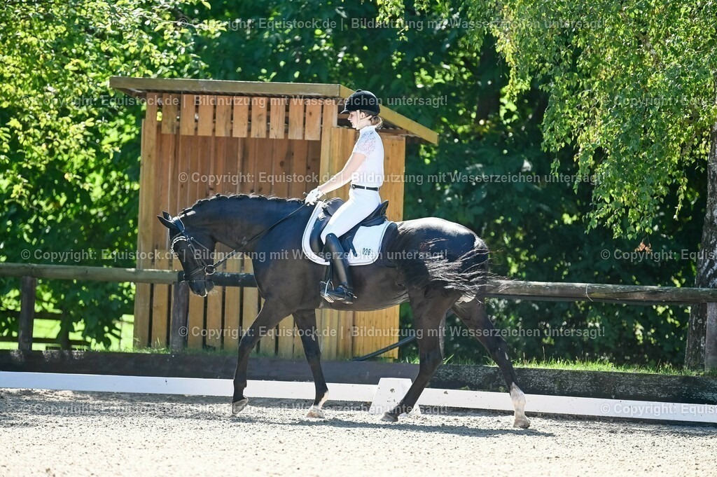 20230908_06_Dressur-L-Trense_0273 | equistock