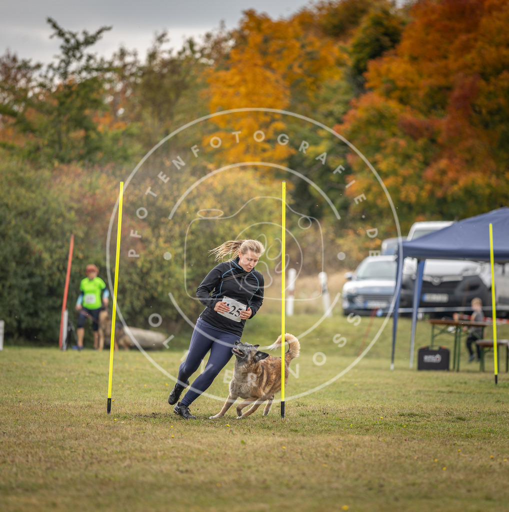 Pfotenfotografie_DV3A6898 | Hundefotografie, Tierfotograf, Pfotenfotografie, Fotoshooting Hund, Hunde Portrait, Hundesport, Hundeportraits, Heideshooting, Hunde, Sportfotograf, Hundefotograf, Turnierhundsport, THS,  - Realisiert mit Pictrs.com