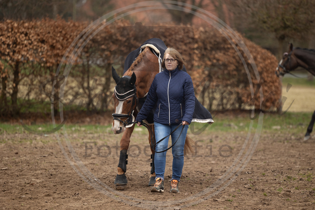 994A9123 | sabrinanicolaifotografie - Realisiert mit Pictrs.com