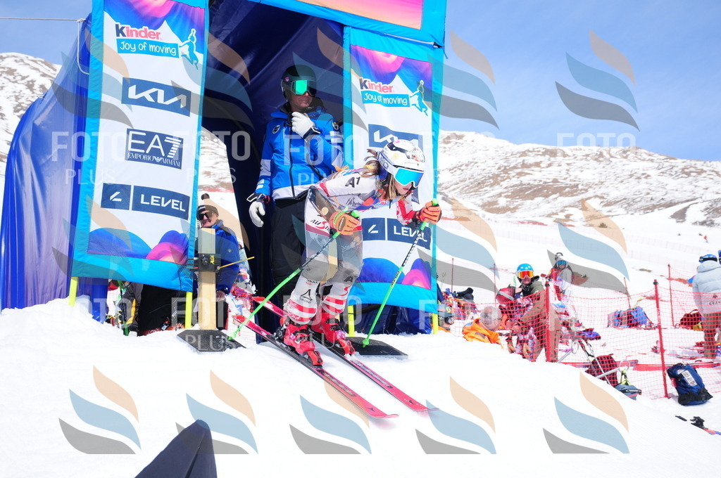 DSC_6863 | holidayphoto