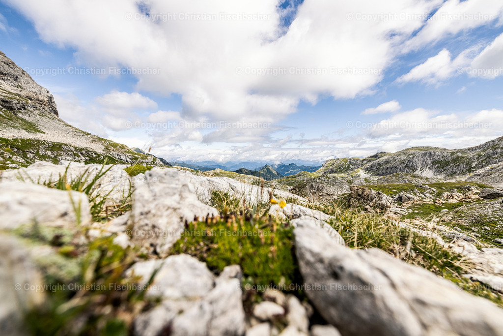 Fotos_Copyright_Chri_Fischbacher_Druck-468 | Bildershop Chri Fischbacher - Realisiert mit Pictrs.com