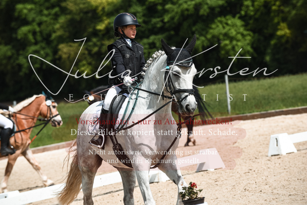 20230518_JK-Röhrsdorf-11-0495 | Pferde- und Turnierfotografie in Westsachsen. Pferdeportraits, Auftragszeichnungen und intuitive Kunst.