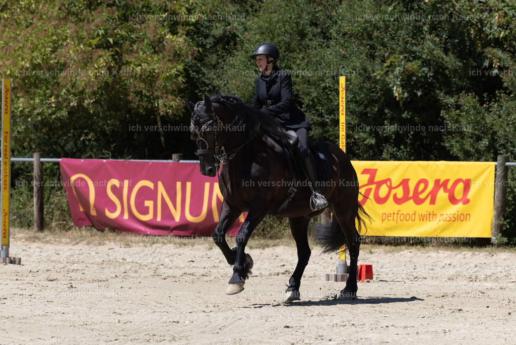 WM_Speed_132_KerstinBernhardt | working equitationturnier fotograf videograf stoibphotography marixx film working equitation deutschland reitsport turnierfotografie eventfotografie equestrian events