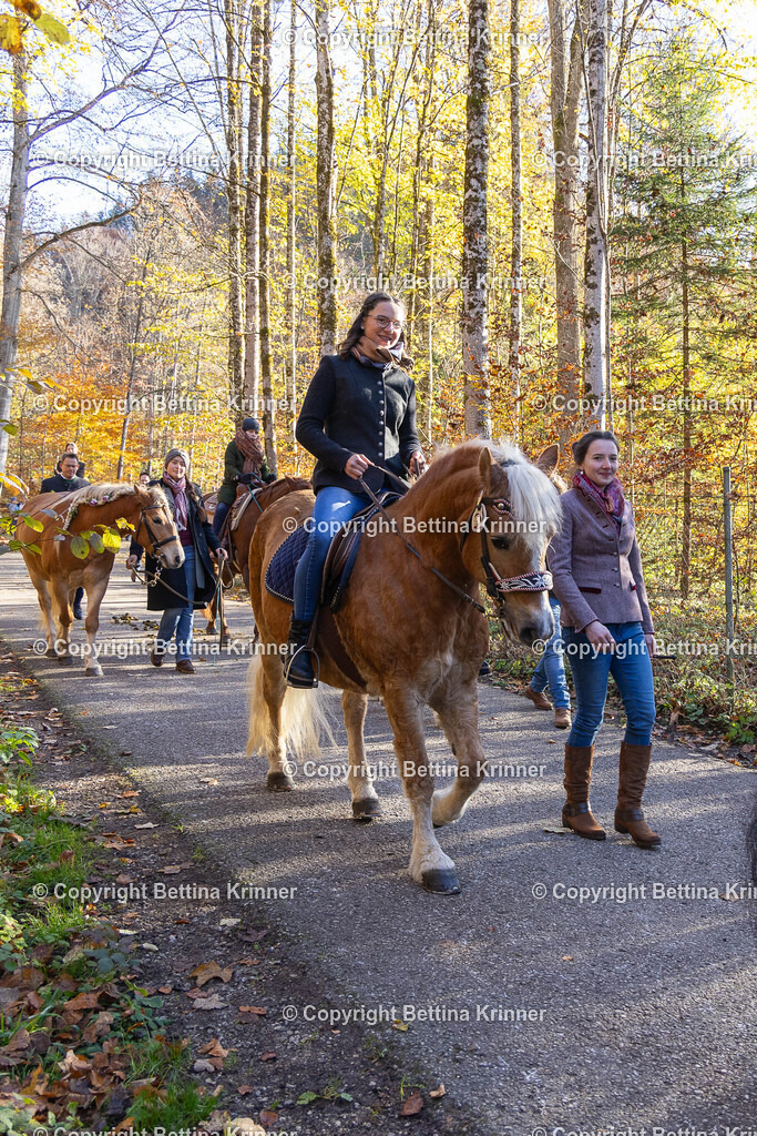 LL24-365 | foto-bettina-krinner - Realisiert mit Pictrs.com