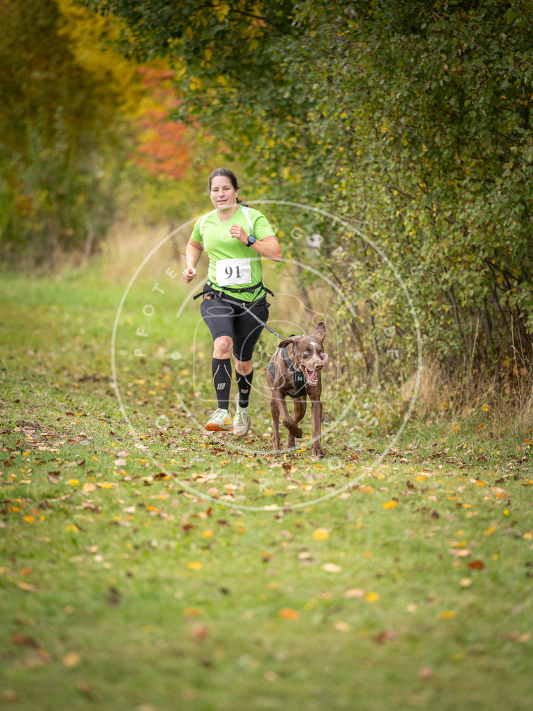 Pfotenfotografie_DV3A3265 | Hundefotografie, Tierfotograf, Pfotenfotografie, Fotoshooting Hund, Hunde Portrait, Hundesport, Hundeportraits, Heideshooting, Hunde, Sportfotograf, Hundefotograf, Turnierhundsport, THS,  - Realisiert mit Pictrs.com