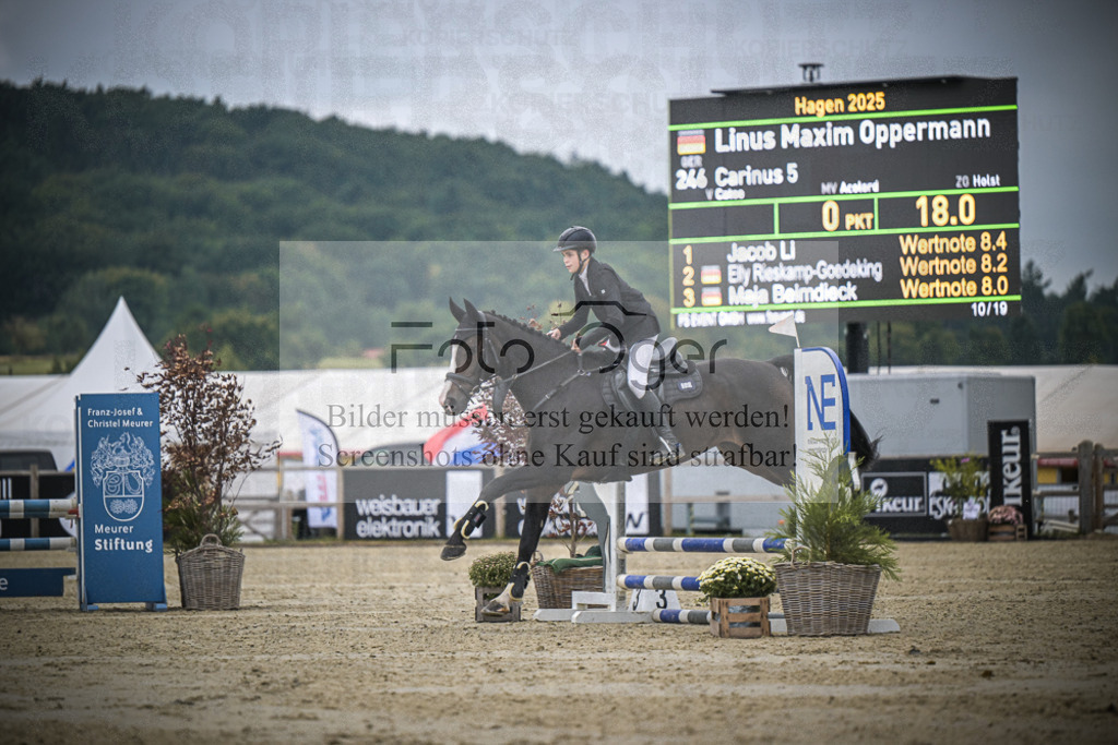 DOS_0579 | Entdecke hochwertige Reitturnierfotos von Foto Oger. Professionell, emotional und authentisch – jetzt Lieblingsmomente im Shop bestellen.Deutschlandweite Turnierfotografie. - Realisiert mit Pictrs.com