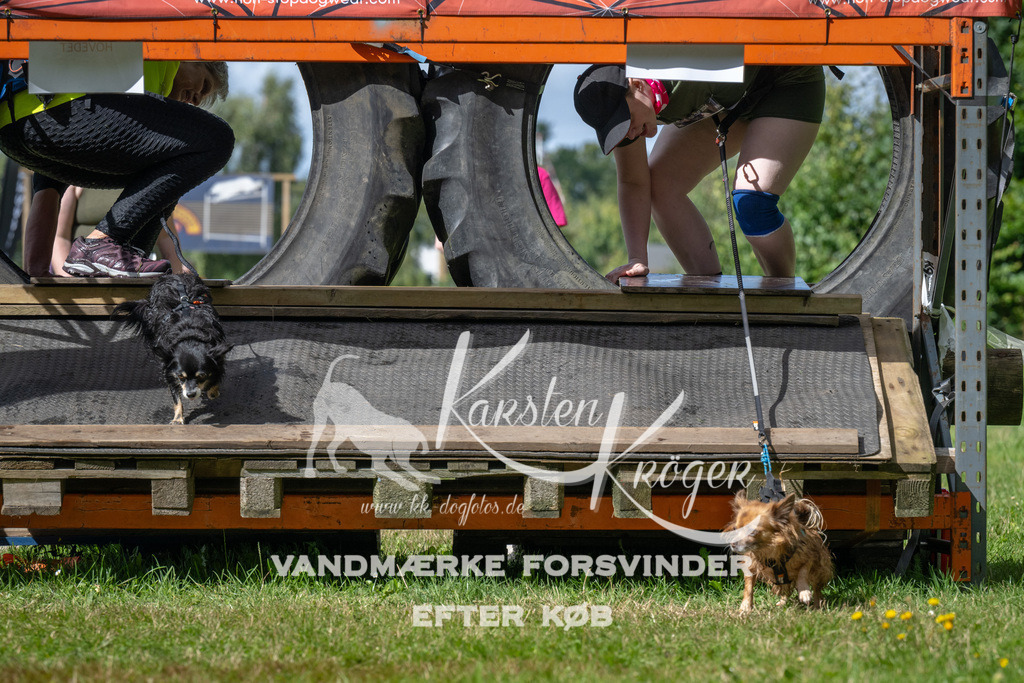 1539_ZZ93580 | kk-dogfotos