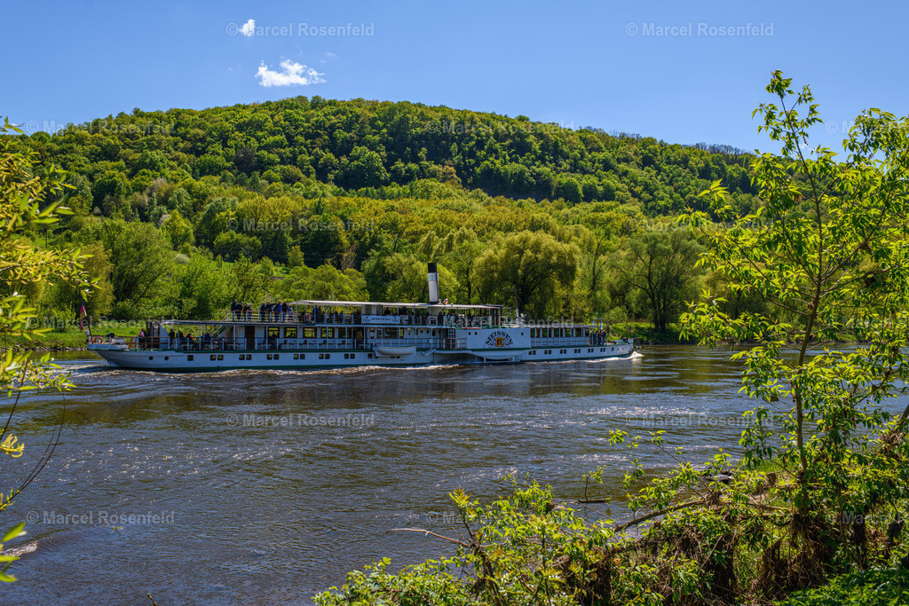 _DSC3878 | foto-rosenfeld