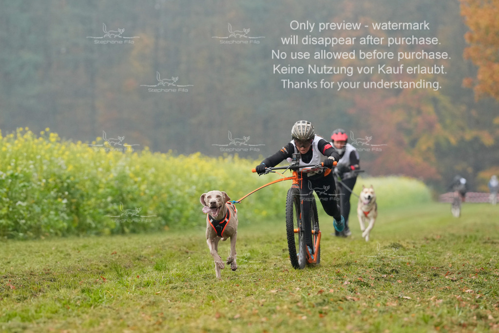 Visbeck_Sa_Scooter_Hc-56 | stephaniefillaphotographie - Realisiert mit Pictrs.com