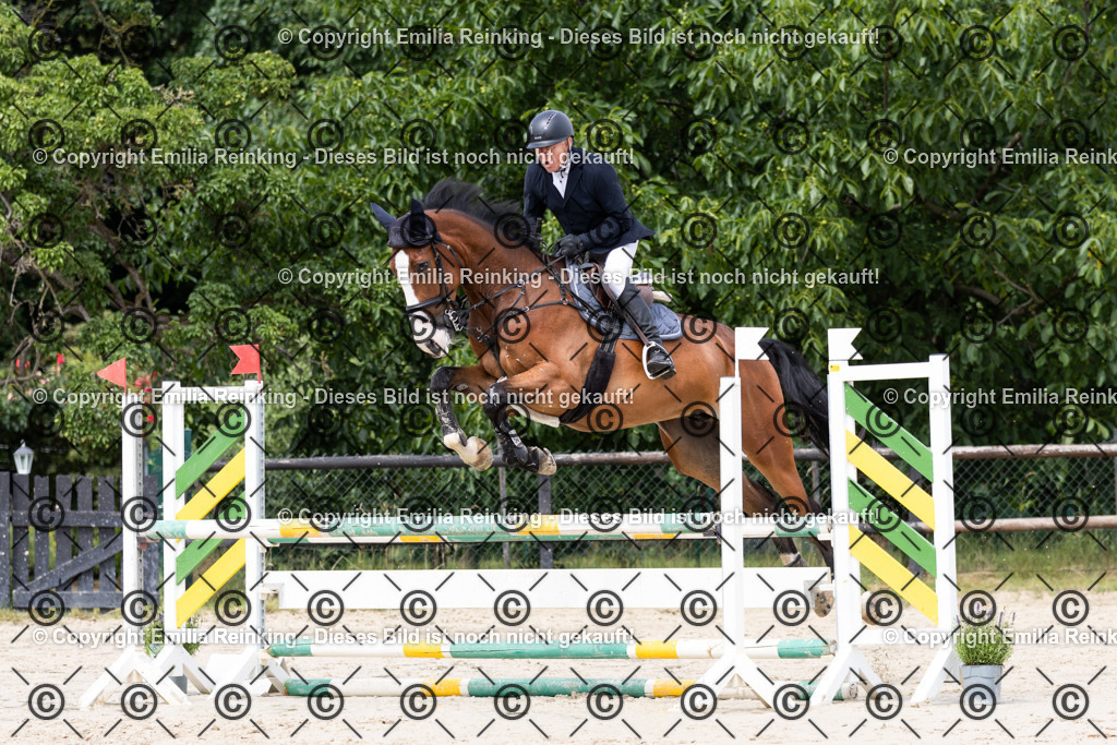 CL5A5075 | Emilia Reinking Fotografie - Realisiert mit Pictrs.com