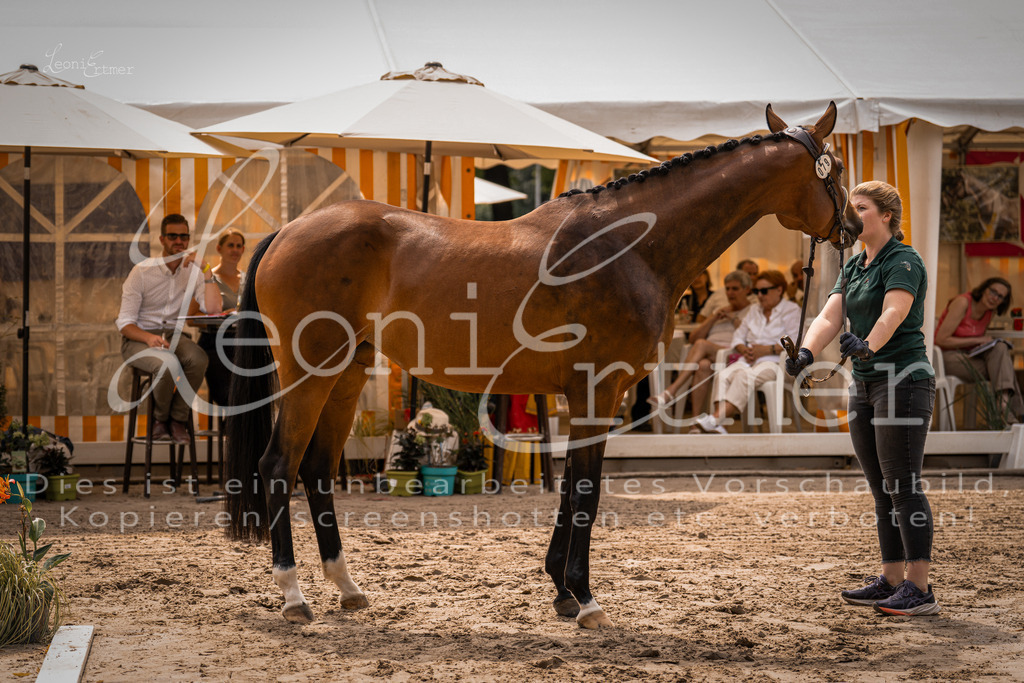 4.Fr00104 | Leoni Ertmer Photography - Realisiert mit Pictrs.com