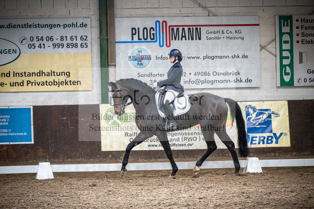 DOS_3154 | Entdecke hochwertige Reitturnierfotos von Foto Oger. Professionell, emotional und authentisch – jetzt Lieblingsmomente im Shop bestellen.Deutschlandweite Turnierfotografie. - Realized with Pictrs.com