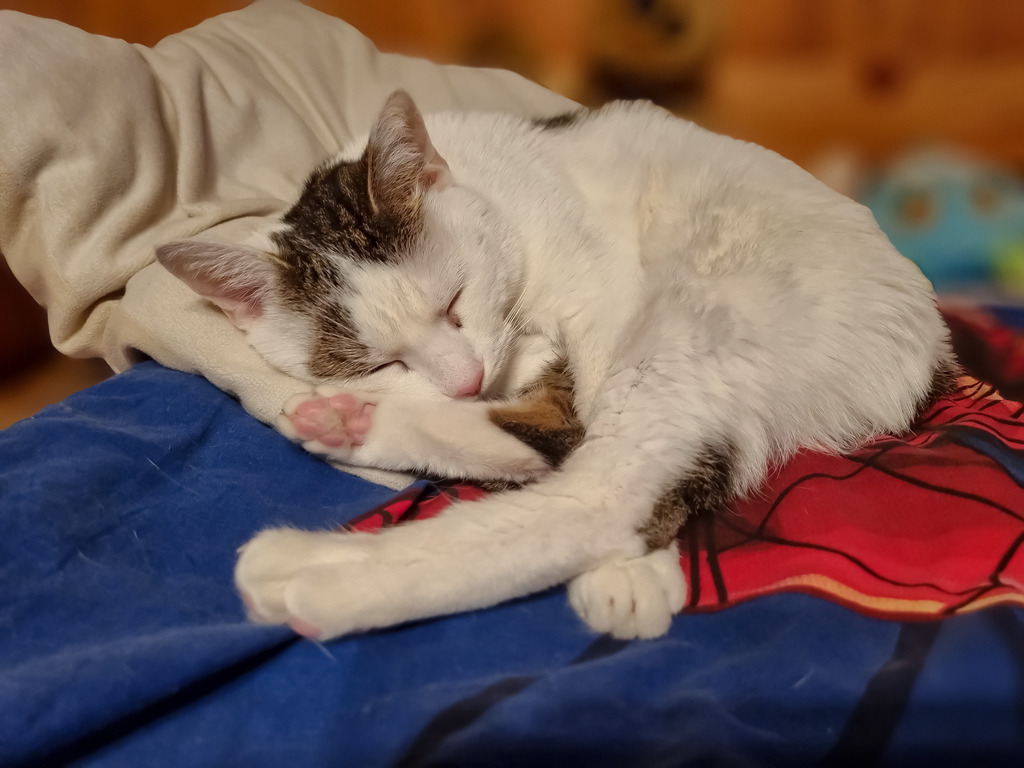 PSX_20230123_215825 | mtkfoto_ - Realisiert mit Pictrs.com