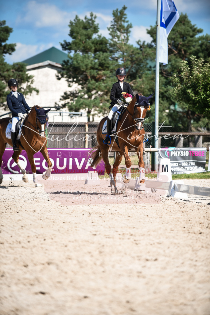 DSC_9747 | Pferde- und Turnierfotografie in Westsachsen. Pferdeportraits, Auftragszeichnungen und intuitive Kunst.