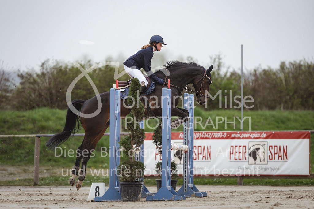 240330_Fruehlingsfest_Stil-A2-1-652 | Deine schönsten Turniermomente als professionelle Fotos! Entdecke hochwertige Pferdesport-Fotografie im Online-Shop. Jetzt Fotos finden & bestellen!