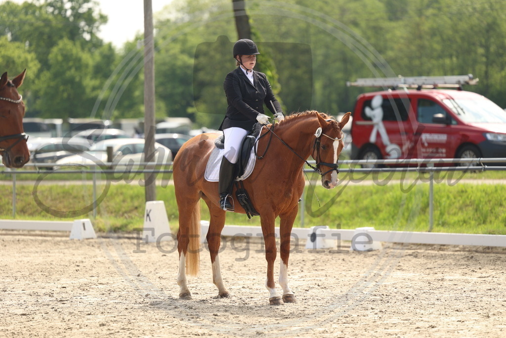 994A6493 | sabrinanicolaifotografie - Realisiert mit Pictrs.com