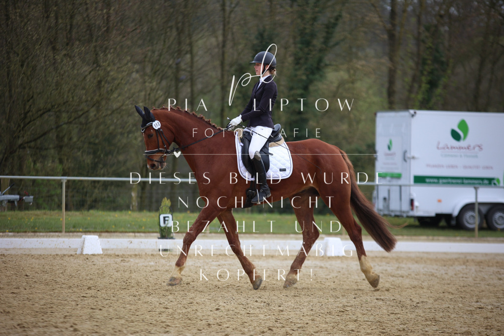 IMGT7369 | pl-fotografie