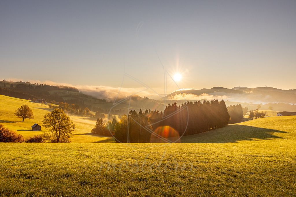 Herbstsonne Franzenreith Randegg | Ihre Fotografin im Lungau, ihre Fotografin im Mostviertel, Wandbilder Onlineshop, Imagefotos für Ihr Unternehmen,  - Realisiert mit Pictrs.com