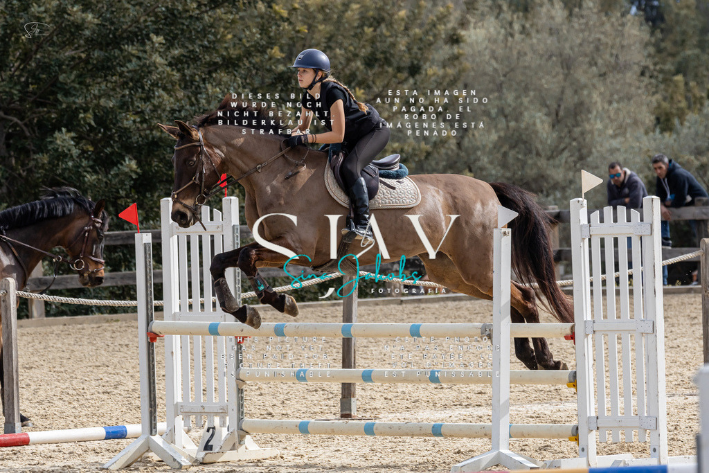 IMG_3964 | s-jay-photography - Realized with Pictrs.com