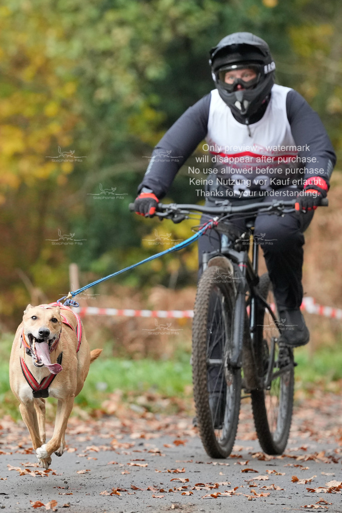 AusschnitteSo-52 | stephaniefillaphotographie - Realisiert mit Pictrs.com