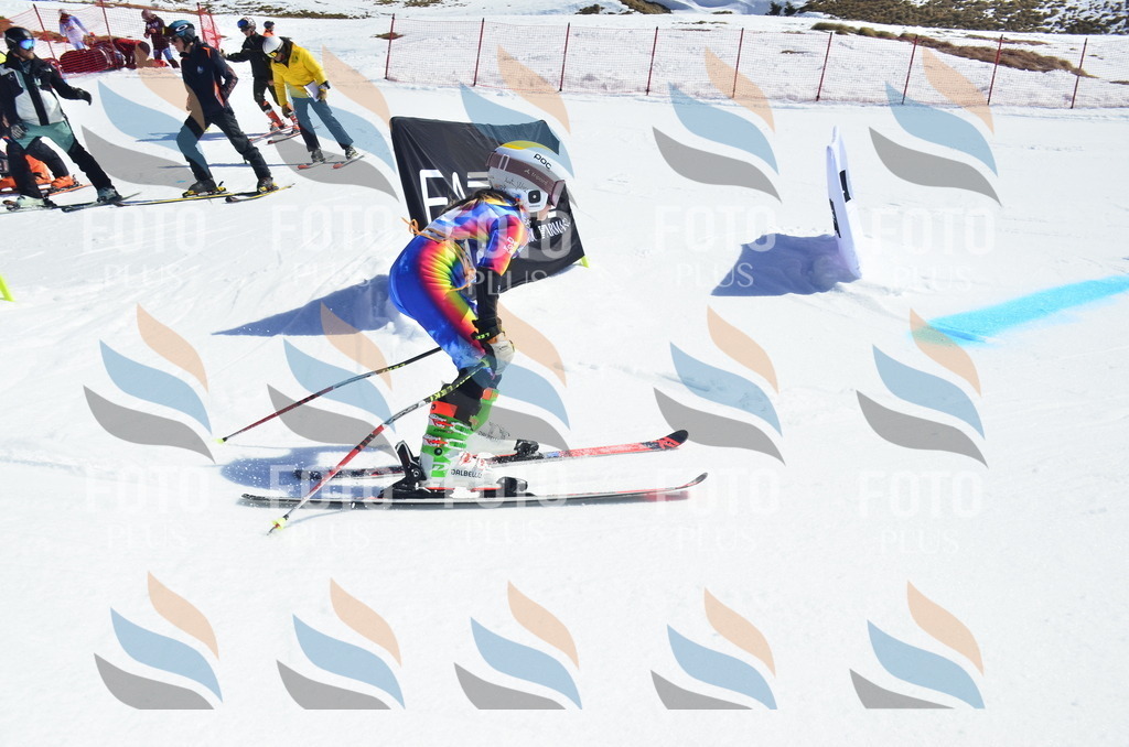 _ELE9891 | holidayphoto