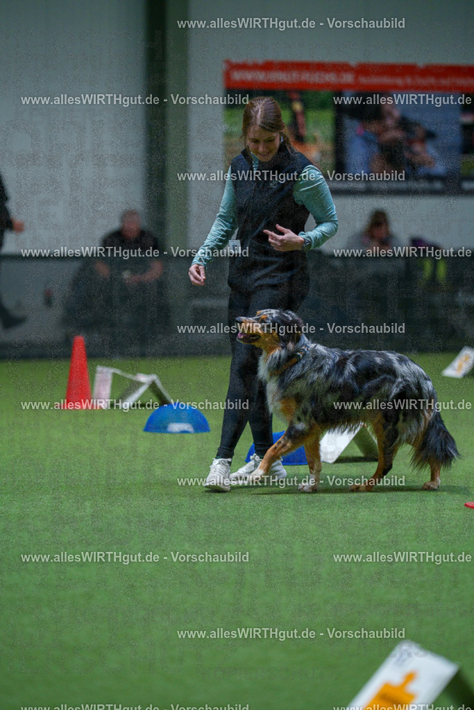 7R503097 | Professionelle Tierfotografie in Mönchengladbach von Daniel Wirth (allesWIRTHgut). Liebevolle & natürliche Bilder von Hunden & Katzen für unvergessliche Erinnerungen.