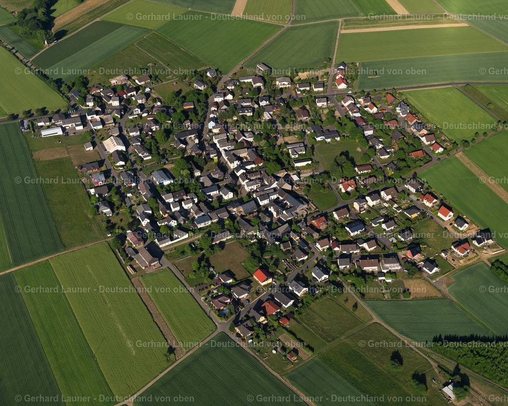 3126549 | Herold