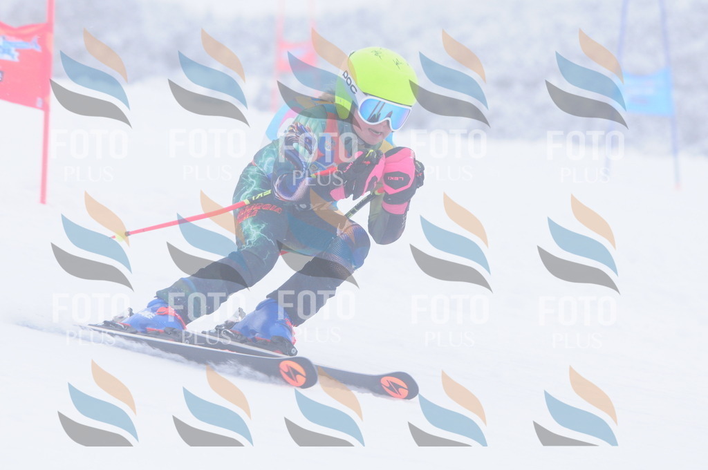 C2773 | holidayphoto