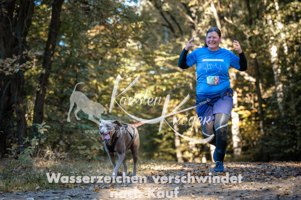 1010_ZZ99451 | kk-dogfotos