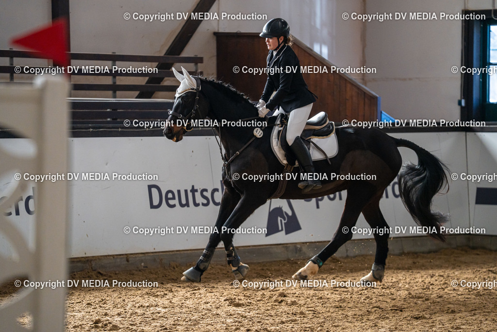 Kranichstein Tag 2-750 | dv-media-shop - Realisiert mit Pictrs.com