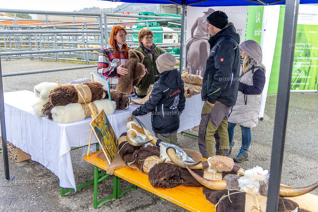 SchaZie-Tag Feldkirchen | Bildershop von pixelworld.at - Realisiert mit Pictrs.com