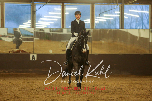 IMG_6938 | Turniersportfotografie; Pferdefotografie; Dressurfotografie
