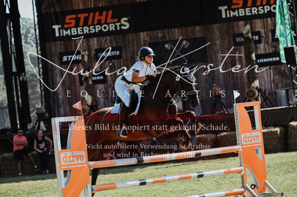 DSC_5965 | Pferde- und Turnierfotografie in Westsachsen. Pferdeportraits, Auftragszeichnungen und intuitive Kunst.