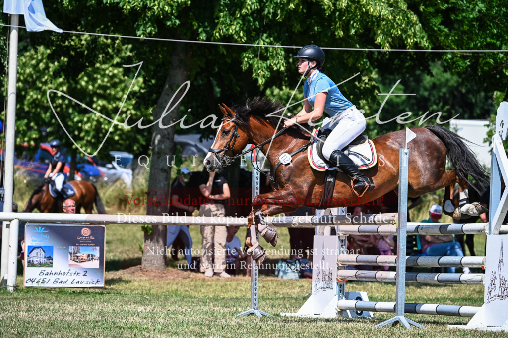 DSC_0941 | Pferde- und Turnierfotografie in Westsachsen. Pferdeportraits, Auftragszeichnungen und intuitive Kunst.