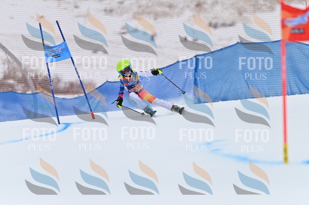 BGV_2347 | holidayphoto