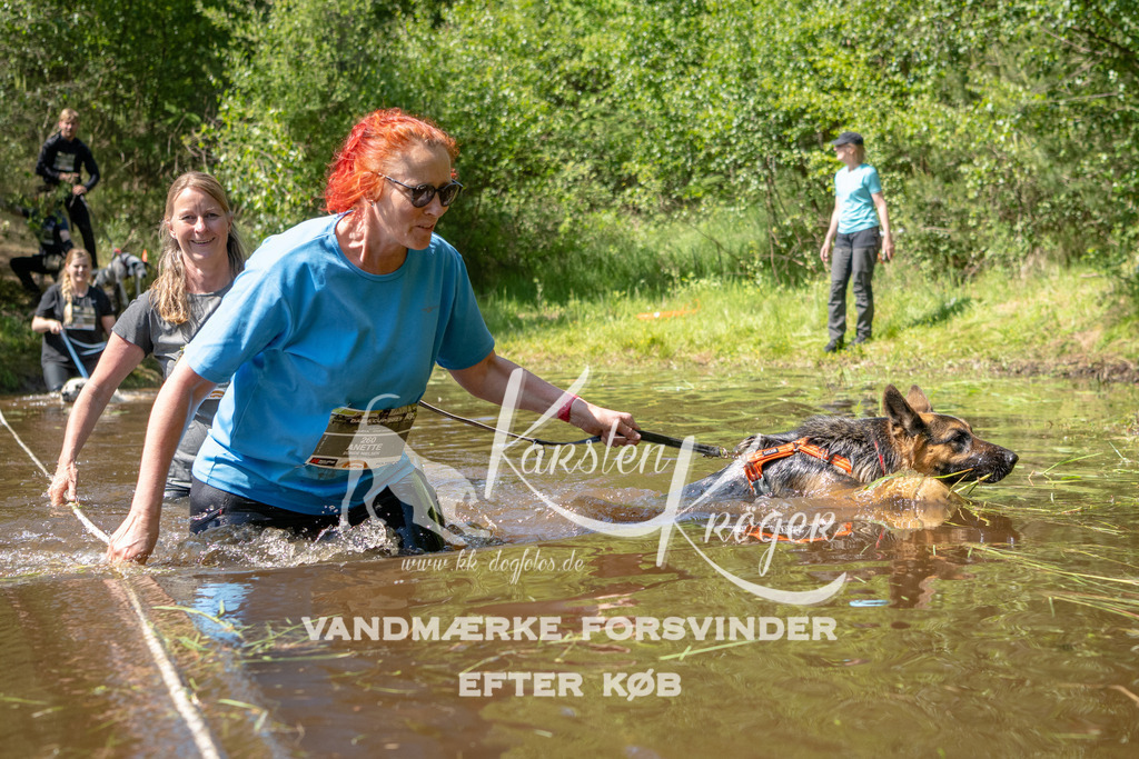 1514DKK992621 | kk-dogfotos