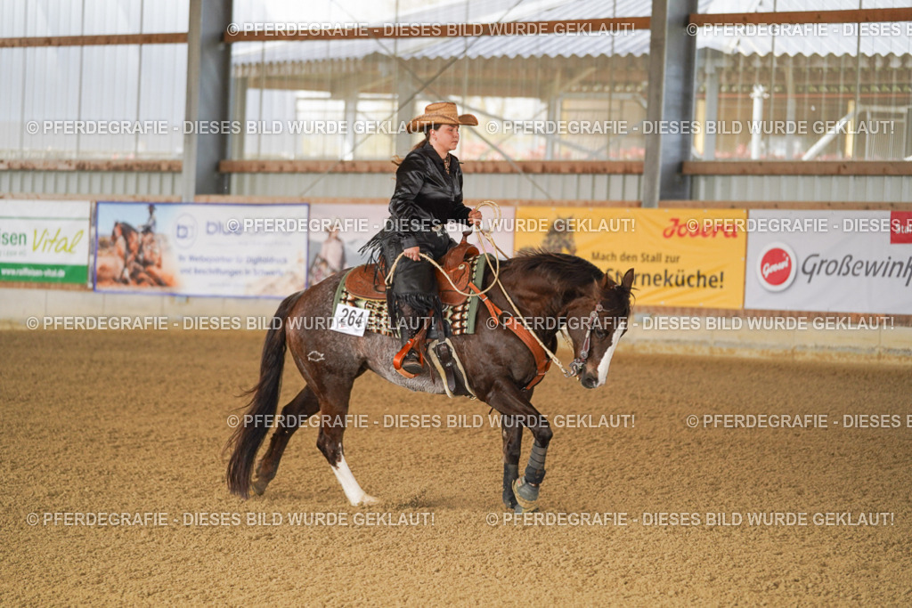 DSC02392 | Pferdegrafie