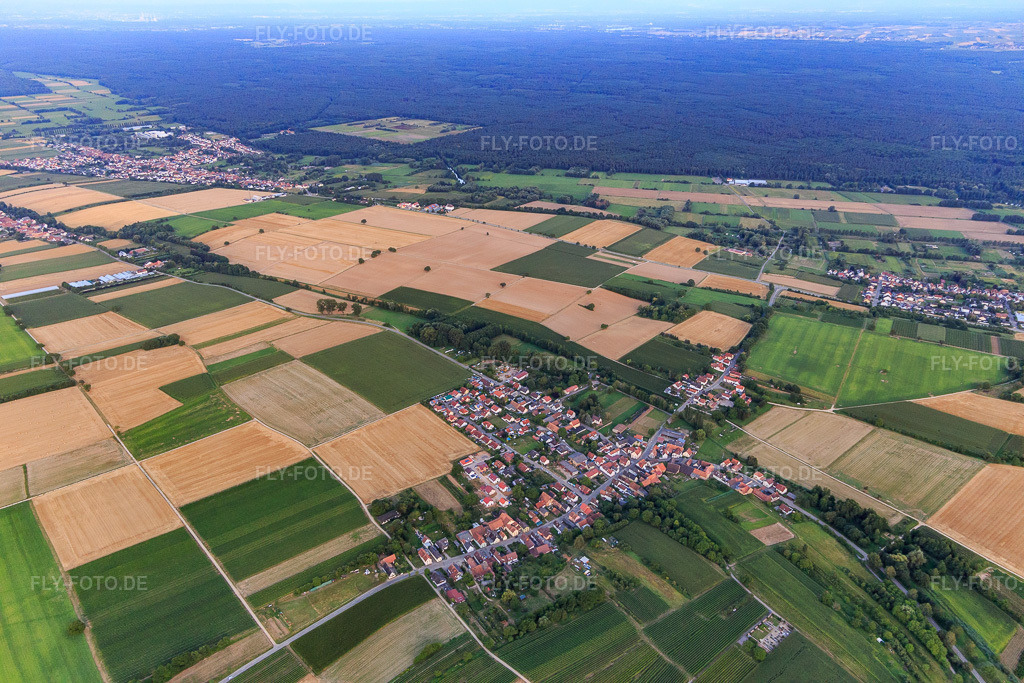Luftbild: Dorübersicht aus Nordwesten im Ortsteil Kleinsteinfeld in Niederotterbach im Bundesland Rheinland-Pfalz in Deutschland. Foto: IMG_109148.jpg vom 19.07.2018 durch Werner Riehm/FLY-FOTO.de