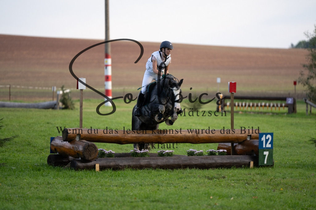 A7V03041 | Turnier/Reitfotograf